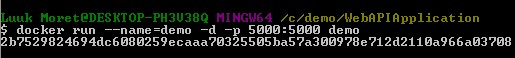 docker run --name=demo -d -p 5000:5000 demo